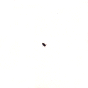 460>_719117
